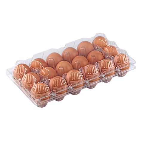 Упаковка для куриных яиц 18 ячеек