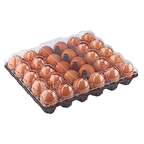 Упаковка для куриных яиц 30 ячеек 