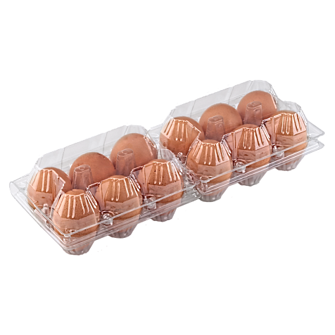 Упаковка для куриных яиц 12 ячеек (6х2)