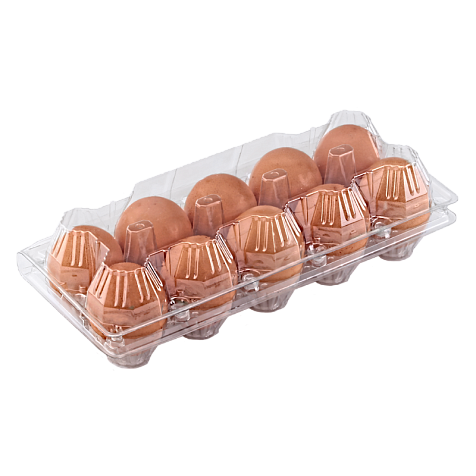 Упаковка для куриных яиц 10 ячеек
