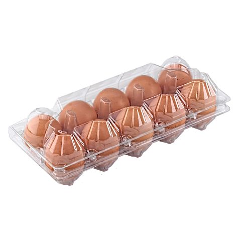 Tray for 10 chicken eggs    "2 towers"