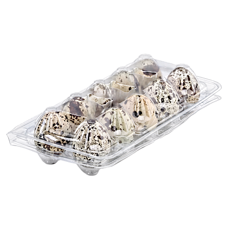Tray for 10 quail eggs