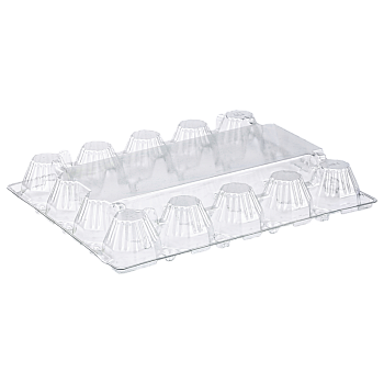 Tray for 20 chicken eggs