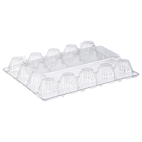 Tray for 20 chicken eggs