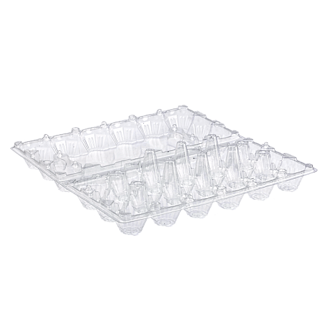 Tray for 18 chicken eggs