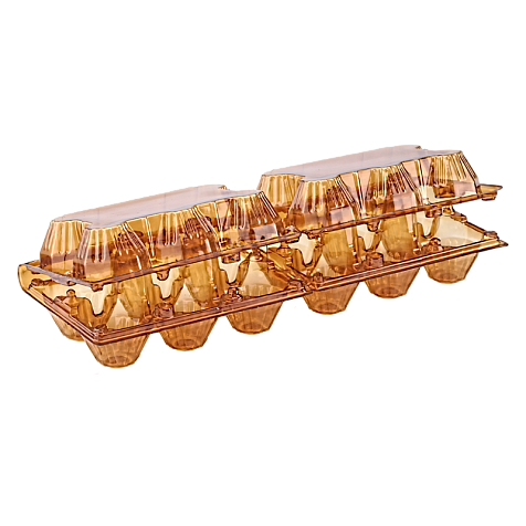 Упаковка для куриных яиц 12 ячеек (6х2)