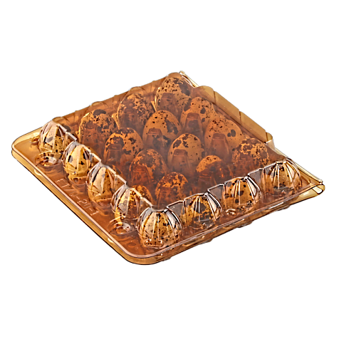 Tray for 20 quail eggs (square)