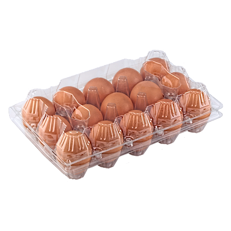 Упаковка для курячих яєць 15 комірок