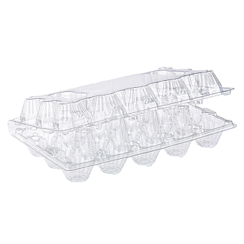 Tray for 15 chicken eggs