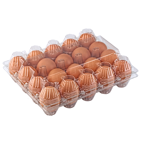 Упаковка для куриных яиц 20 ячеек